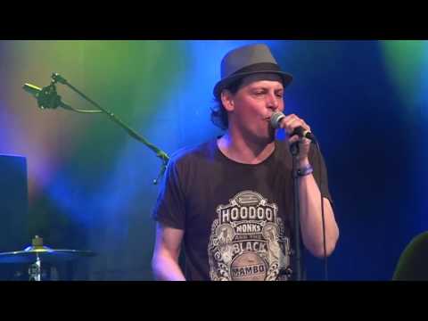 Mike's Electric Mud live at the Moulin Blues festival 2016