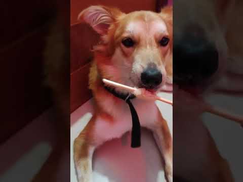 😚😚 #shorts #rise&shine