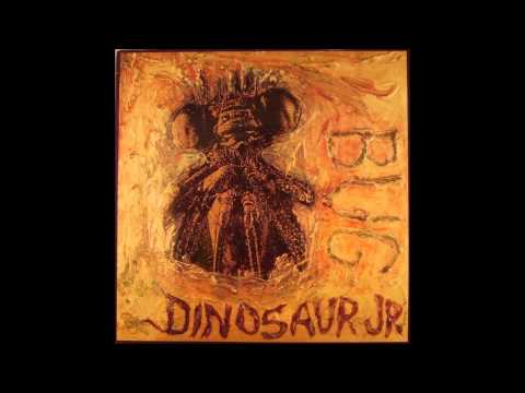 Keep The Glove - By Dinosaur Jr. on Fossils availble on SST records