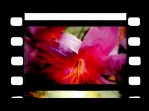 【大手前大学2010年度卒業制作】Sugarless