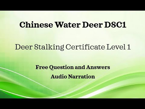DSC1 Chinese Water Deer Section Q&A Deer Stalking Certificate 1 FREE Resources Main Paper Revision