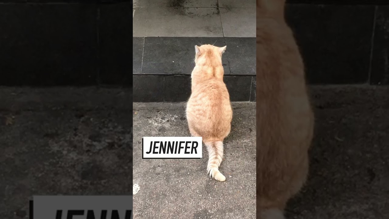 who do you have questions for? 🧐🧐 #shorts #9gag #9gagvoice