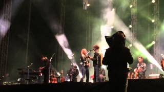 Days of endless time - The Common Linnets , bfo 2015 Zwolle