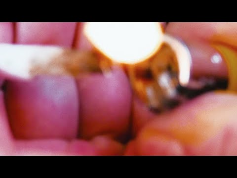Piccoli Fuochi - Brucherò nei pascoli