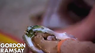 Thai Oysters - Gordon Ramsay's Great Escape