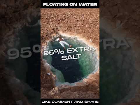 Floating in the water | Floating on the dead sea | jordan dead sea