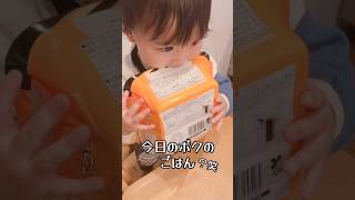 今日のボクのごはん…？笑 #赤ちゃん #赤ちゃんのいる生活 #生後12ヶ月 #1歳児 #クォーター #クォーターベビー #三兄弟 #末っ子 #shorts #ごつ盛り