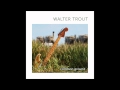 Walter Trout - Loaded Gun 