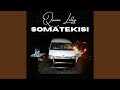 Somatekisi
