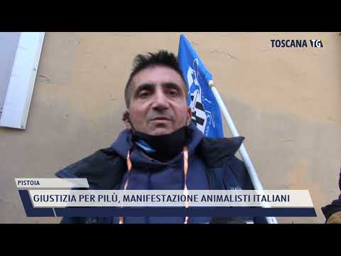 2021-12-20 PISTOIA - GIUSTIZIA PER PILÙ, MANIFESTAZIONE ANIMALISTI ITALIANI