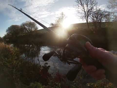 Baitcasting for Pike on the Union Canal