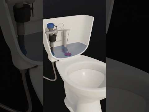 How Does a Toilet Work? #wastewater #toilet