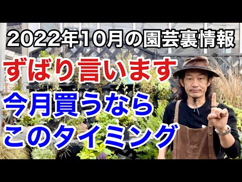 園芸 アクアテール、プールを接地