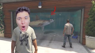 سمكة قرش فى جراج الفيلا !!