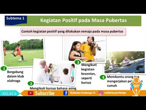 Perbandingan Fisik Sebelum Saat dan Setelah Masa Pubertas Mupel IPA Kelas 6 Tema 7 Subtema 1