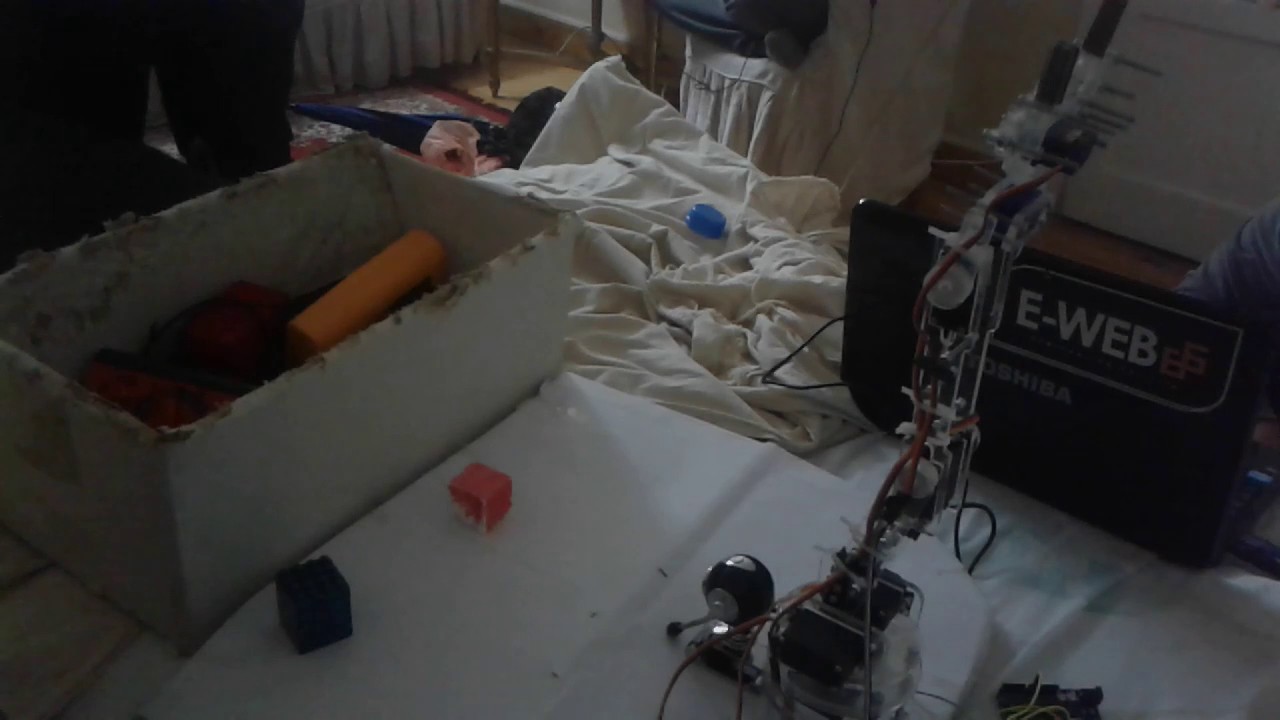 Auto Industrial Robot Arm Using Image Processing