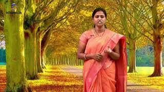 Suffixes and Prefixes