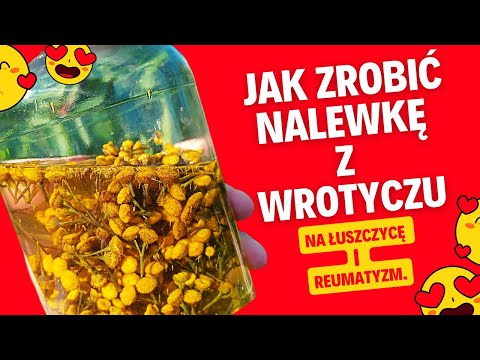 Jak zrobić nalewkę z wrotyczu. 🌿Na łuszczycę i reumatyzm.💪