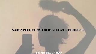 Sam Spiegel &amp; Tropkillaz perfect - slowed