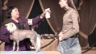 Top 1000 Commericials of 2006   Ask Jeeves 3