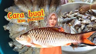 Download lagu ikan pekasam orang kat sini buat beribu2 kilogram dan ikan pekasam dia sangat sedap mp3
