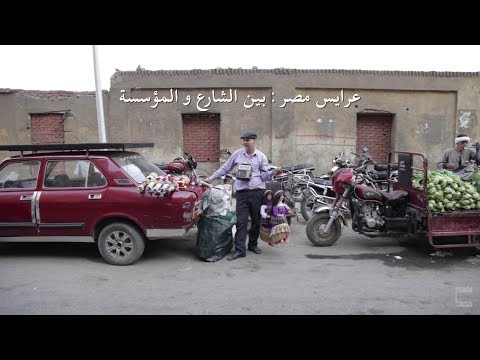 عرايس مصر بين الشارع و المؤسسة Puppetry in Egypt From street to institution