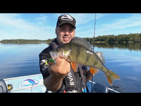 Syysfiiliksiä mereltä - Vinkkejä ahvenen ja hauen kalastukseen