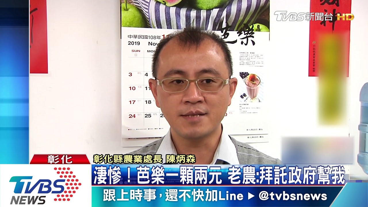 淒慘!芭樂一顆兩元 老農:拜託政府幫我
