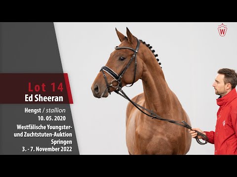 Online-Auktion Lot 14 Ed Sheeran Hengst v. Eldorado van de Zeshoek - Diamant De Semilly