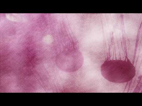 The Patient — Fray