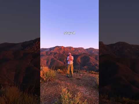 real estate - out now