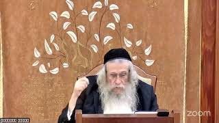 הגה"ח הרב וועכטר שליט"א - שיעור מיוחד בענייני גאולה ומשיח (הרב אברהם מנחם מענדל וכטר) - התמונה מוצגת ישירות מתוך אתר האינטרנט יוטיוב. זכויות היוצרים בתמונה שייכות ליוצרה. קישור קרדיט למקור התוכן נמצא בתוך דף הסרטון