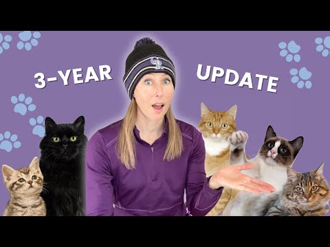 Let's chat about Meowtel cat sitting: What I've earned, learned & experienced