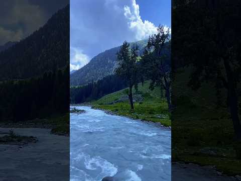 #shortvideo #travel #viralvideo #nature #ytshorts #youtubeshorts