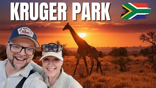 Krüger Nationalpark 🇿🇦 - DAS musst du wissen um DEINE Safari zu planen!