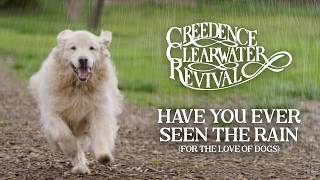 Download lagu Creedence Clearwater Revival - Have You Ever Seen the Rain (For the Love of Dogs) mp3