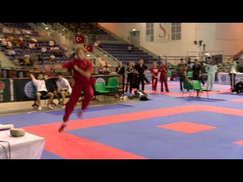 Aleksandr Shibaev WAKO World Championships 2018