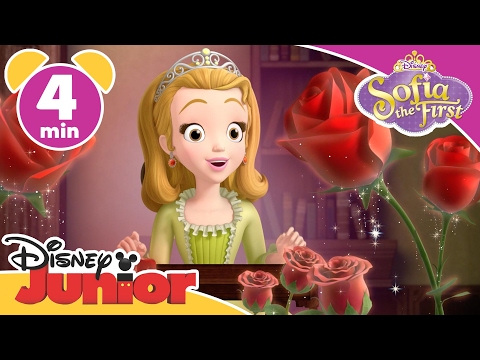 Sofia the First | Mr P | @disneykids