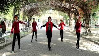 Country Music Made Me Do It - Line Dance(Beginner)( Sascha Wolf )