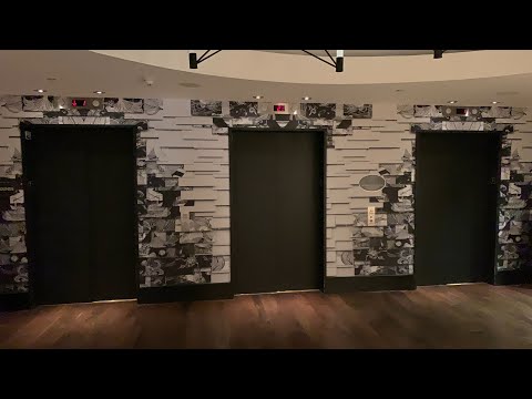 2003 Fujitec Traction Elevators at Magnolia Hotel in Downtown Houston, TX