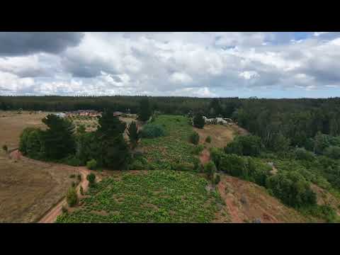 🍇Viñas en Rahuil 🍷comuna 📍#Florida #Biobio Valle del Itata  🏞