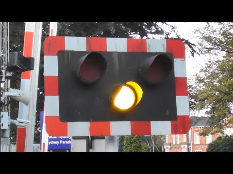 Railway Crossing - Sydney Parade, Dublin - 2 x IE 8300 Class Dart Trains