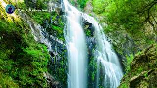 Download lagu Musik Relaksasi Pengantar Tidur (30 menit) mp3