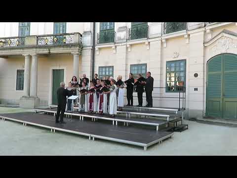 A sepsiszentgyörgyi Pro Musica Kamarakórus az Esterházy-kastélyban