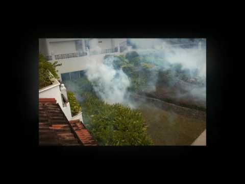 General Pest Control in Sydney, Au - Things You Need To Know About Pest Control