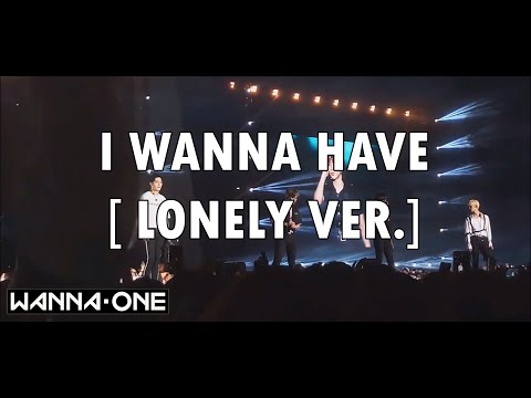 181117 Hec Korea Concert WANNA ONE - I WANNA HAVE [ LONELY VER.]