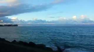 Homegrown from this island!!!