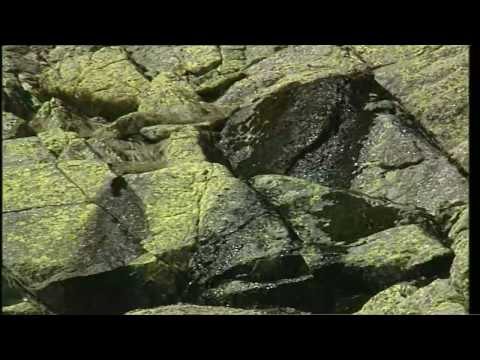 Sierra de Gredos, Historia en piedra (Parte 2/2)