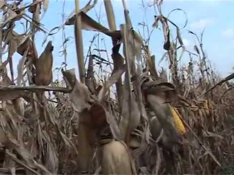 REC ZEMLJORADNIKA VASA SUBOTIC IZ PAVLOVACA