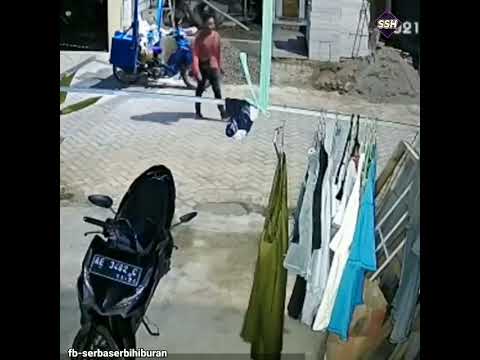 moment pencuri jemuran celana dalam